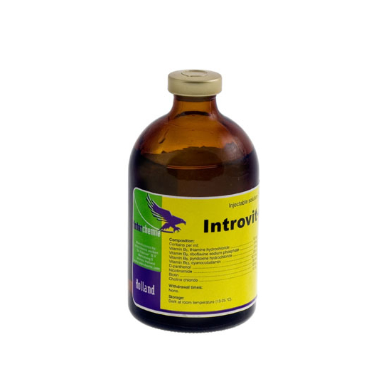 INTROVIT B-COMPLEX